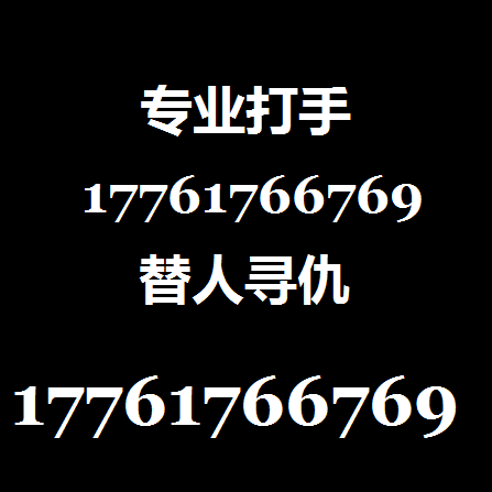 雇佣打手17761766