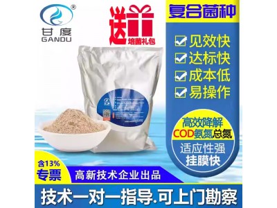 甘度污水处理复合菌种降COD氨氮总氮好氧厌氧微生物菌剂