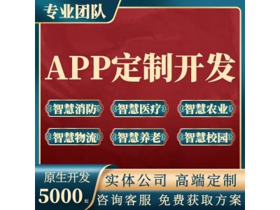 APP开发定制海外商城社交语聊物联网教育小程序软件制作