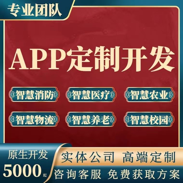 APP开发定制海外