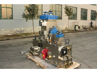 山东泰丰供应插装阀QC11Y-ZL12X3200HYDCV