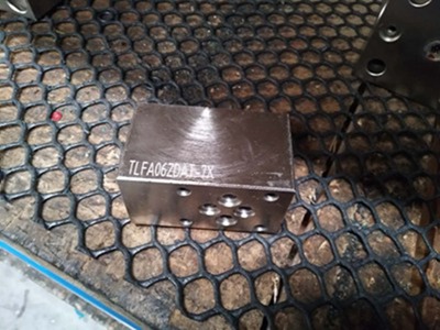 山东泰丰智能供应基本控制盖板TLFA016WEMZ-7X