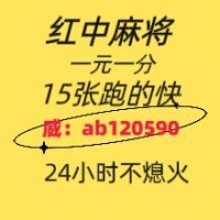 今日热点24小时红中麻将群@2025已更新不用押金全面升级