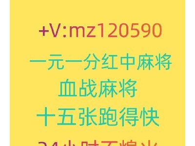 哪里找15张跑的快群@24小时不熄火24小时不熄火
