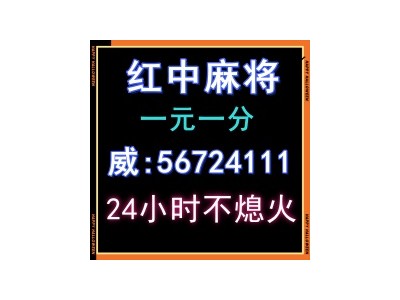 强者当道正规红中24小时一元麻将今日/热榜