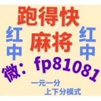 【金戈铁马】一元一分跑得快广东红中麻将群牌桌狂欢！