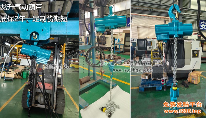 龙升气动葫芦大图