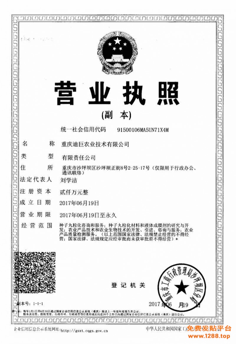执照