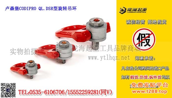 卢森堡CODIPRO QL.DSR型旋转吊环单条大图