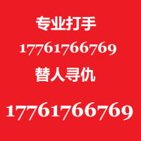 哪里找到打手杀手替人寻仇17761766769