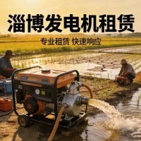 淄博就近租发电机 价格实惠上门快