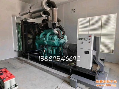 大连700KW康明斯柴油发电机组图2