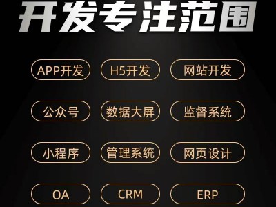 软件开发app开发定制物联网可视化大屏小程序管理系统erp开发网站图2