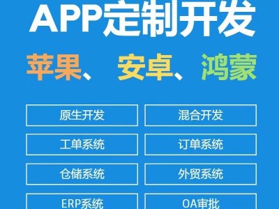 APP开发定制软件开发微信小程序海外商城物联网社交教育软件图2