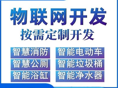 软件小程序APP定制开发独立部署物联网系统网站搭建图4