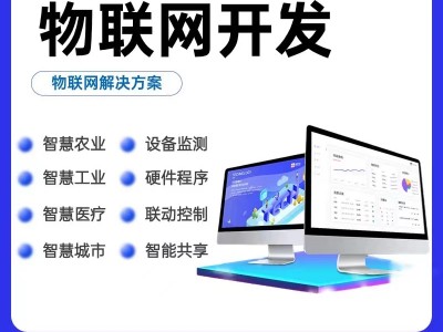 物联网平台开发软硬件定制开发 自主研发项目app开发小程序开发