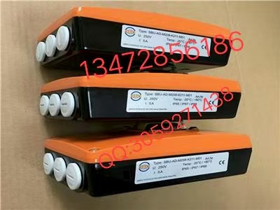 保证原装正品Z011-A依博罗EBRO气动蝶阀图3