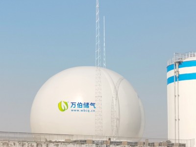 万伯双膜储气柜WD65图2