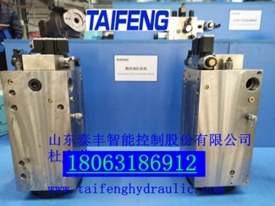 MB-02.08-00型300吨电液油缸泰丰直销现货