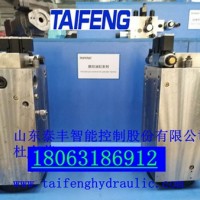 MB-02.08-00型300吨电液油缸泰丰直销现货