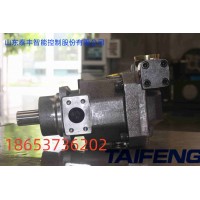 山东泰丰智能供应柱塞泵TFB1V63LR/1X-LRB2恒功率