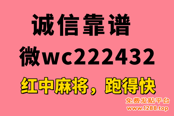 阿超小网站图片