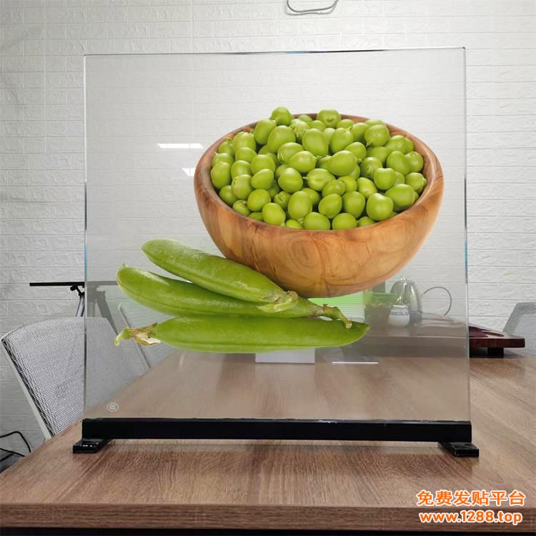 111透明膜 (47)