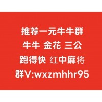 山东玩法:手机微信红中麻将群哪里有(交友/陌陌)