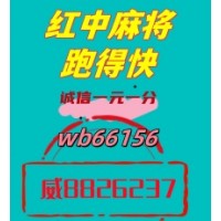 定时更新红中麻将群重温经典在线人数多