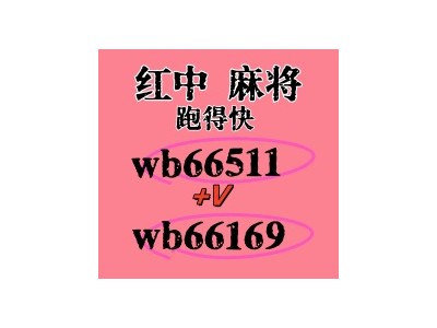 （科普）靠谱上下分红中麻将群@2025已更新