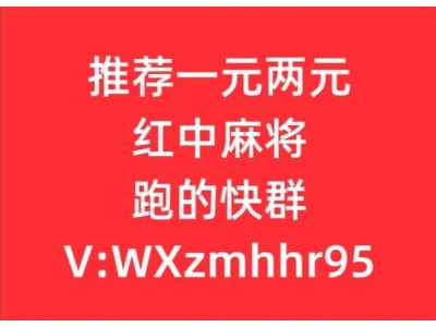 念心安“哪里有跑得快的群”