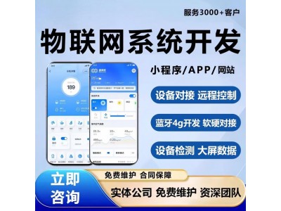 物联网平台开发软硬件定制开发 自主研发项目定制开发