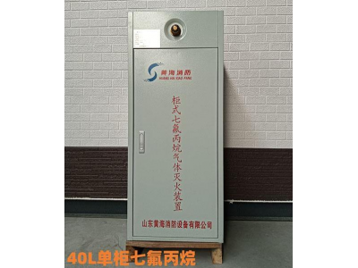 七氟丙烷灭火器双柜式气体灭火装置GQQ40灭火药剂机房商用