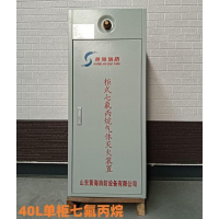 七氟丙烷灭火器双柜式气体灭火装置GQQ40灭火药剂机房商用