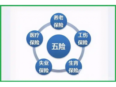 大连本地社保代缴，大连职工社保外包，异地企业大连用工社保方案