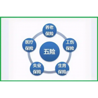 大连本地社保代缴，大连职工社保外包，异地企业大连用工社保方案