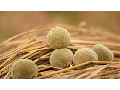 化州橘红果切片橘红茶七爪单片皮全国批发出货