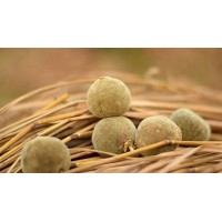 化州橘红果切片橘红茶七爪单片皮全国批发出货