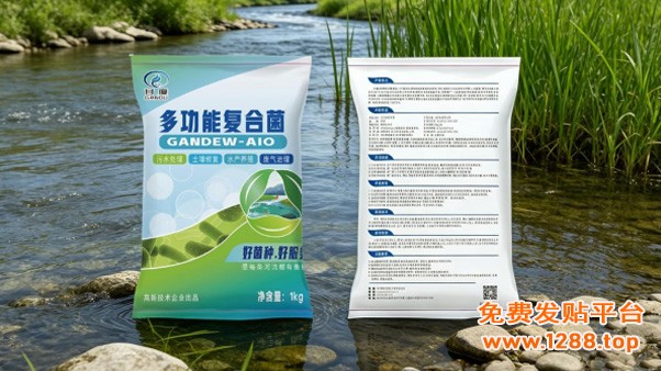 图片612