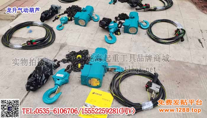 龙升气动葫芦单条大图