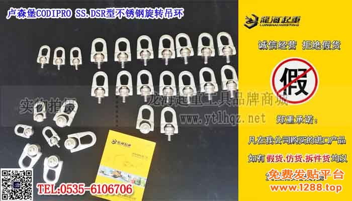 卢森堡CODIPRO不锈钢旋转吊环单条大图