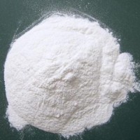 国标白水泥凝固后有裂纹的原因