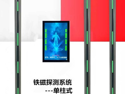 核磁室 铁磁探测系统 金属检测仪 中磁微电图2
