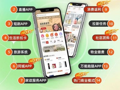 APP开发定制商城直播物联网教育社交外卖家政短剧人工智能定制作图2