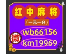 [不知所措]红中麻将一元一分@技巧解读