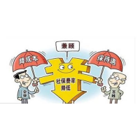 上海正规社保代缴机构，上海员工社保外包，上海五险一金代买