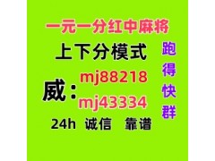 （真人麻将）谁有广东红中一元一分麻将群(全天在线）