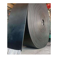 炜泰斗提机钢丝绳输送带 耐磨提升机提升带定制厂家