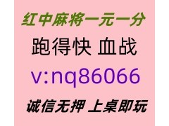 【一叶知秋】广东红中麻将群已全面更新