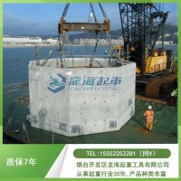 半导体制造吊装不能用普通旋转吊环,卢森堡SS.DSR符合要求吗？